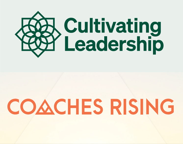 Advanced Coaching Skills